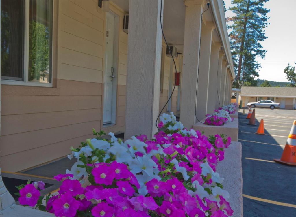 Shasta Pines Motel & Suites Burney Exterior foto
